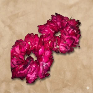 candy pink rose & snowy chrysanthemum bridal gajras (copy)