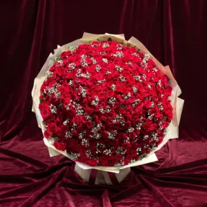 grand scarlet red rose & baby's breath gold trimmed starburst bouquet (copy)
